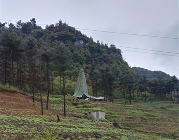 把脈“黔”鋅地，問診開良方