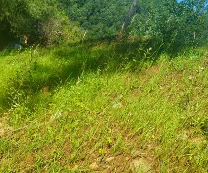 柳關(guān)欒盧鉛鋅礦|治理排土“瘡疤”，繪就綠色畫卷
